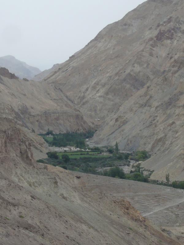 Travel - India - Ladakh - Hemes National Park - Kaya Village - Around village Kaya